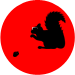 Blind Squirrel Apps